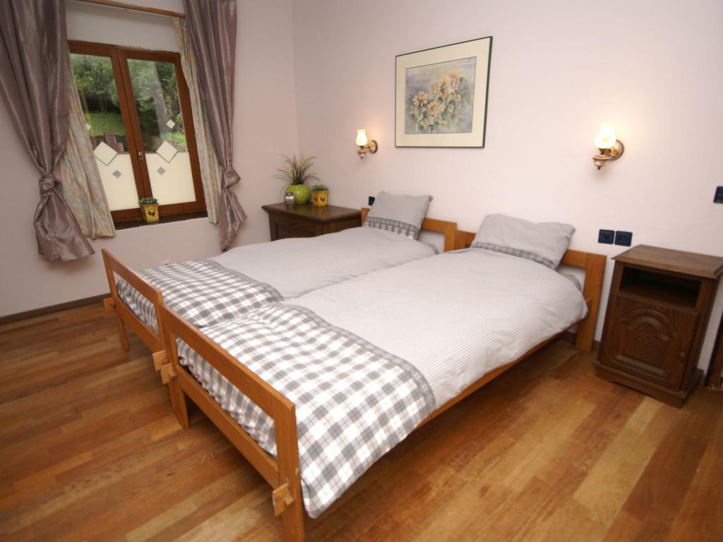 Spacious Holiday Home With Sauna In Celles Sur Plaine Eguisheim Kültér fotó