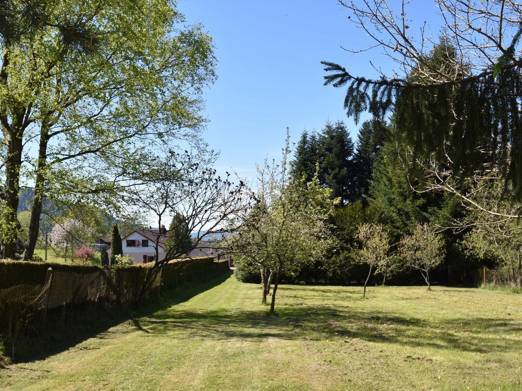 Spacious Holiday Home With Sauna In Celles Sur Plaine Eguisheim Kültér fotó